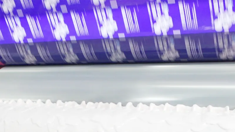 Printing-Flexible Packaging Manufacturing